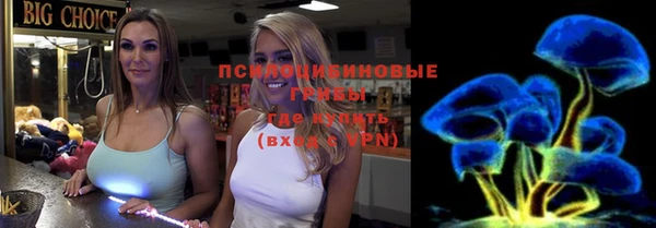 гашик Балабаново