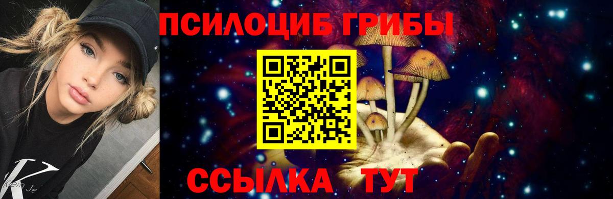 Галлюциногенные грибы GOLDEN TEACHER Борисоглебск