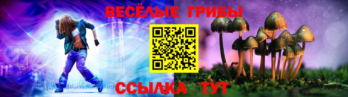Псилоцибиновые грибы Psilocybine cubensis  Вход с VPN  Псилоцибиновые грибы Cubensis  Борисоглебск 